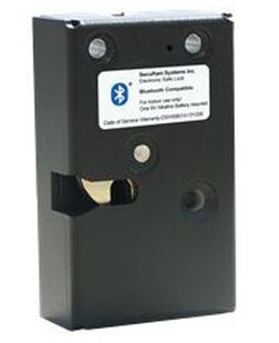 SecuRAM EL-0901 / StrikeBolt