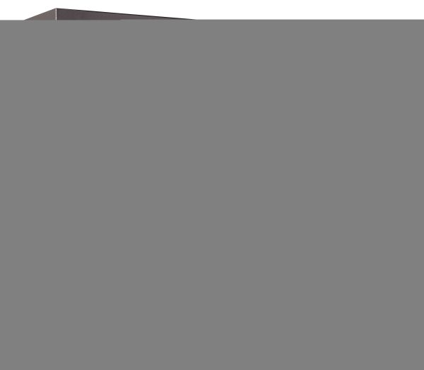 Browning HG49 Gun Safe HAWG Series : 49 Gun Safe - Image 3