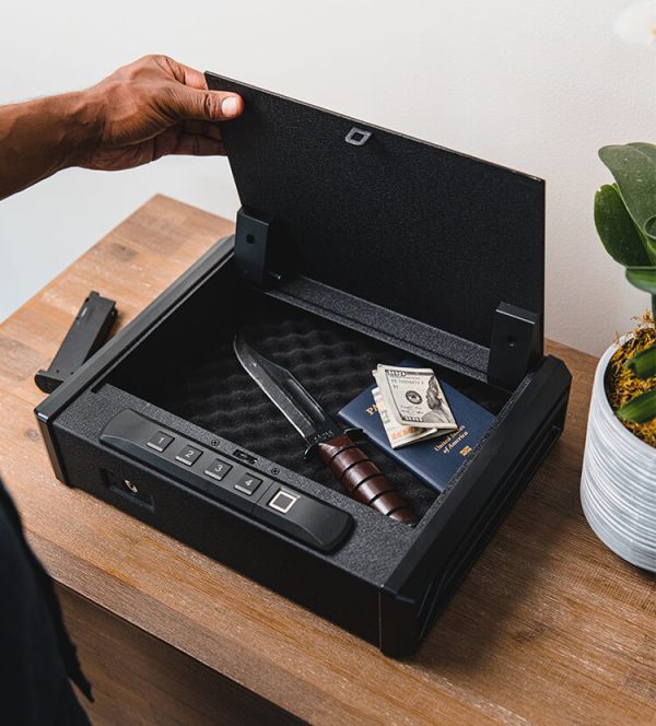 RPNB RP19001F Pistol Safe with Biometric Fingerprint Lock, For 2 Pistols